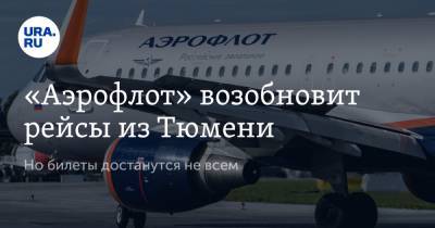 «Аэрофлот» возобновит рейсы из Тюмени. Но билеты достанутся не всем - ura.news - Крым - Анапа - Сочи - Краснодарский край - Краснодар - Симферополь - Тюмень - Тюменская обл.
