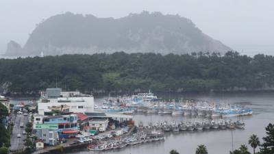 Южная Корея вложит 11,8 млрд рублей в строительство рыбного порта в Приморье - vesti.ru - Южная Корея - Приморье край - район Шкотовский