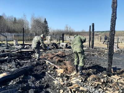 Медики рассказали о состоянии детей, выживших в пожаре под Нижним Тагилом - znak.com - Свердловская обл.