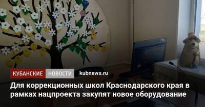 Для коррекционных школ Краснодарского края в рамках нацпроекта закупят новое оборудование - kubnews.ru - Краснодарский край - район Кавказский - район Северский