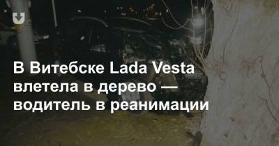 В Витебске Lada Vesta влетела в дерево — водитель в реанимации - news.tut.by - Витебск - Витебская обл.