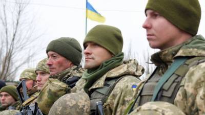 Татьяна Монтян - Монтян назвала число украинцев, готовых к войне в Донбассе - nation-news.ru - Киев