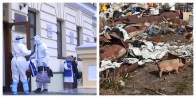 "Запах можете себе представить": возле детской больницы в Харькове нашли "свалку животных", кадры - kharkov.politeka.net - Харьков