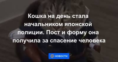Кошка на день стала начальником японской полиции. Пост и форму она получила за спасение человека - news.mail.ru - Япония