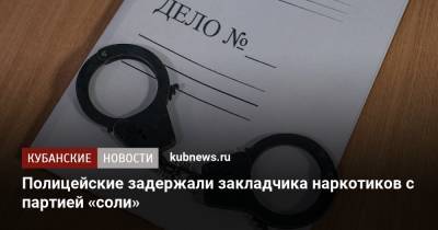 Полицейские задержали закладчика наркотиков с партией «соли» - kubnews.ru - Сочи - Краснодарский край - Ростов-На-Дону