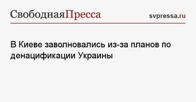 Павел Климкин - В Киеве заволновались из-за планов по денацификации Украины - svpressa.ru - Киев