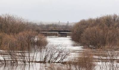 Жители затопленных половодьем домов в Башкирии могут не рассчитывать на компенсации - mkset.ru - Башкирия