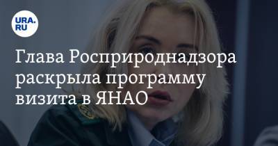 Дмитрий Артюхов - Светлана Радионова - Глава Росприроднадзора раскрыла программу визита в ЯНАО - ura.news - окр. Янао