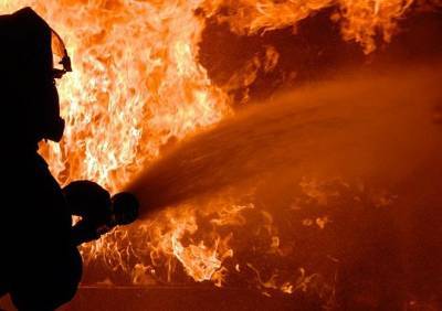 Рязанские пожарные за неделю 417 раз тушили сухую траву - ya62.ru - Рязанская обл. - Рязань