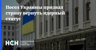 Андрей Мельник - Юрий Швыткин - Посол Украины призвал страну вернуть ядерный статус - nsn.fm - Украина - Киев - Англия