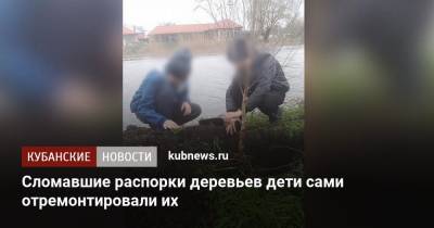 Сломавшие распорки деревьев дети сами отремонтировали их - kubnews.ru - Краснодарский край - Кореновск