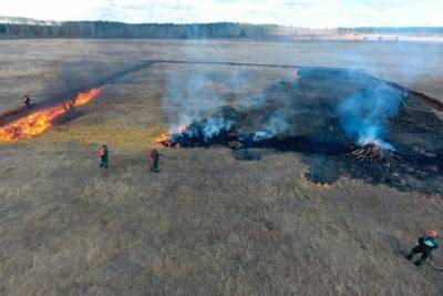 С 16 апреля в Тульской области вводят особый противопожарный режим - tula.mk.ru - Тула - Тульская обл.