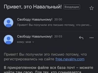 Навальный - База почтовых адресов, оставленных на сайте кампании за Навального, утекла в Сеть - sobesednik.ru