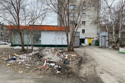«Улица превратилась в помойку»: новосибирцы жалуются на грязь и мусор в городе - novos.mk.ru - Новосибирск