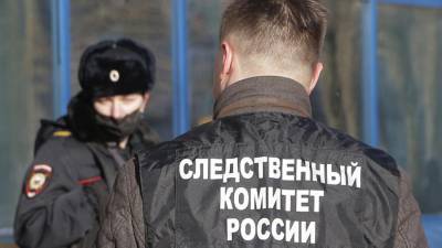 СК в Новосибирской области начал проверку по факту исчезновения ребенка - iz.ru - Новосибирская обл. - Обь
