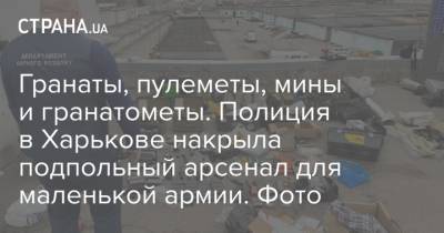 Гранаты, пулеметы, мины и гранатометы. Полиция в Харькове накрыла подпольный арсенал для маленькой армии. Фото - strana.ua - Харьковская обл. - Харьков