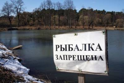 Наловил и опустил — рекомендации костромским рыболовам с 15 апреля по 15 июня - kostroma.mk.ru - Костромская обл.