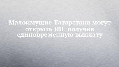 Малоимущие Татарстана могут открыть ИП, получив единовременную выплату - chelny-izvest.ru - респ. Татарстан