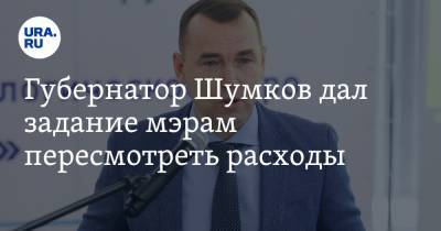 Вадим Шумков - Губернатор Шумков дал задание мэрам пересмотреть расходы - ura.news - Курганская обл.