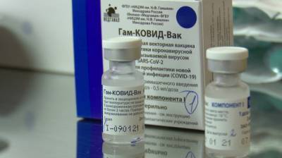 Александр Гусев - Прививку от коронавируса сделали более 186 тыс. воронежцев - vestivrn.ru - Воронежская обл.