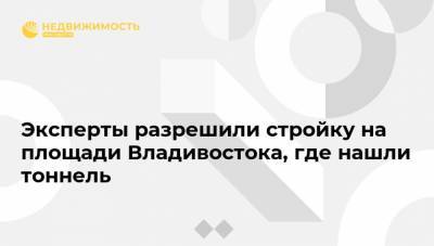 Эксперты разрешили стройку на площади Владивостока, где нашли тоннель - realty.ria.ru - Приморье край - Владивосток - Дальний Восток