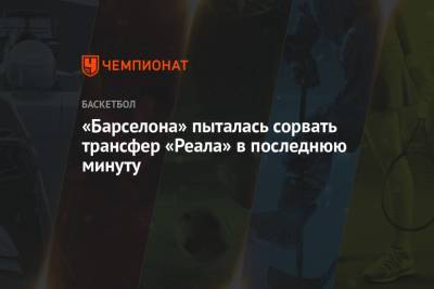 Томас Эртель - «Барселона» пыталась сорвать трансфер «Реала» в последнюю минуту - championat.com - Бостон - Нью-Йорк - Мадрид