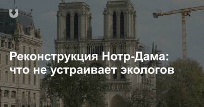 Реконструкция Нотр-Дама: что не устраивает экологов - news.tut.by - Париж
