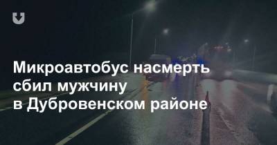 Микроавтобус насмерть сбил мужчину в Дубровенском районе - news.tut.by - Минск