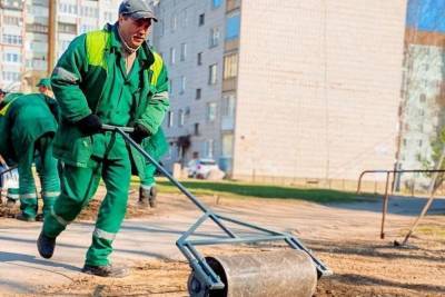 «Псковские тепловые сети» высадили газон на улице Народной в Пскове - mk-pskov.ru - Псков