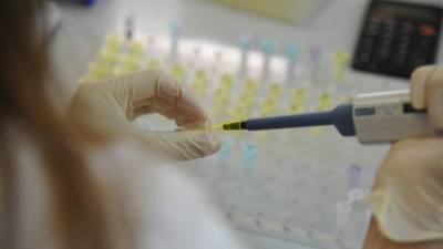 Александр Дмитриев - Ученые из РФ могут закончить создание съедобной вакцины от COVID-19 в течение года - politros.com - Санкт-Петербург