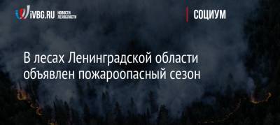 В лесах Ленинградской области объявлен пожароопасный сезон - ivbg.ru - Ленинградская обл.