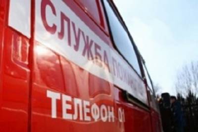 В Ярославской области вдвое сократилось количество «травяных» пожаров - yar.mk.ru - Ярославская обл.