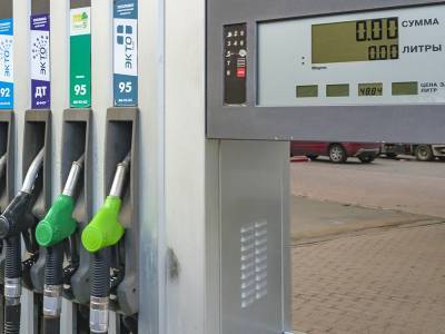 Российским нефтекомпаниям выделят 60 млрд рублей для сдерживания цен на бензин - sobesednik.ru