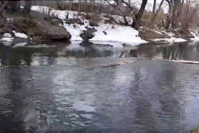 Анатолий Локоть - В Новосибирске зафиксировали повышение уровня воды в реке Тула - runews24.ru - Новосибирск - Тула - Новосибирская обл.