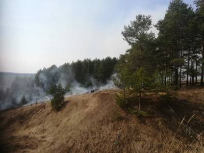 Пал сухой травы подверг угрозе возгорания село в Кстовском районе - vgoroden.ru - Нижегородская обл.