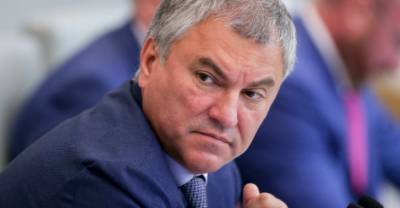 Вячеслав Володин - "Это недопустимо": Володин заявил о "неподъёмном" росте цен на внутренний туризм после закрытия Турции - reendex.ru - Турция - Танзания