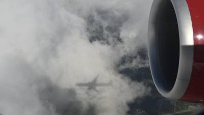 Авиакомпании представят Росавиации графики вывозных рейсов из Турции - iz.ru - Турция - Танзания