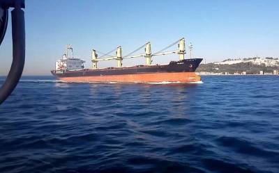 Повлечет ли запуск судоходного канала «Стамбул» отмену Конвенции Монтрё - topcor.ru - Турция - Анкара - Стамбул
