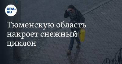 Тюменскую область накроет снежный циклон - ura.news - Тюмень - Тюменская обл.