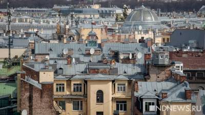 Зоя Осколкова - В центре Петербурга забор рухнул на припаркованные машины и пешеходов - newdaynews.ru - Санкт-Петербург