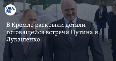 Владимир Путин - Дмитрий Песков - Александр Лукашенко - Михаил Мишустин - В Кремле раскрыли детали готовящейся встречи Путина и Лукашенко - ura.news - Москва - Минск - с. Путин