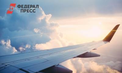 Наталья Наумова - Как подготовиться к полету с маленьким ребенком: советы психолога - fedpress.ru - Москва