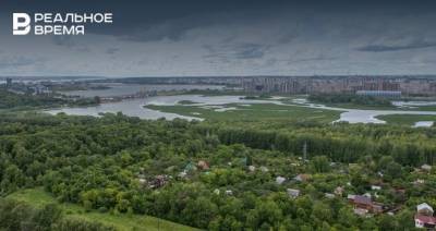 В Казани активисты намерены выкопать борщевик на территории «Русско-Немецкой Швейцарии» - realnoevremya.ru - Швейцария - респ. Татарстан - Казань