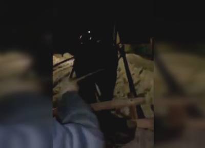 Врачи «скорой» в Марий Эл ехали к пациентке на лошади и не спасли больную - province.ru - респ. Марий Эл