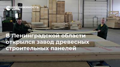 Денис Мантуров - В Ленинградской области открылся завод древесных строительных панелей - realty.ria.ru - Россия - Ленинградская обл. - Санкт-Петербург - район Волховский