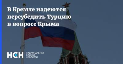 Реджеп Тайип Эрдоган - Дмитрий Песков - Мевлют Чавушоглу - В Кремле надеются переубедить Турцию в вопросе Крыма - nsn.fm - Крым - Турция - Анкара