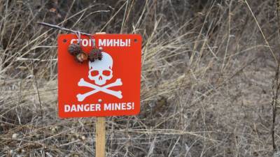 Александр Лукашевич - ВСУ маскируют запрещенную технику предупреждающими знаками о минных заграждениях - nation-news.ru - ЛНР