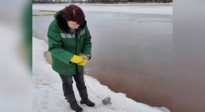 Росприроднадзор обвинил мэрию Ярославля в загрязнении воды - progorod76.ru - Ярославская обл. - Ярославль