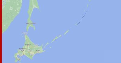 Василий Пискарев - В Google согласились обозначить на карте Курилы как часть России - profile.ru - Москва - Токио