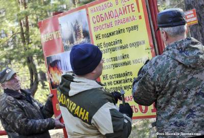 Андрей Потапов - В Кургане введен запрет на посещение лесов с 15 апреля по 5 мая включительно - kikonline.ru - Курган